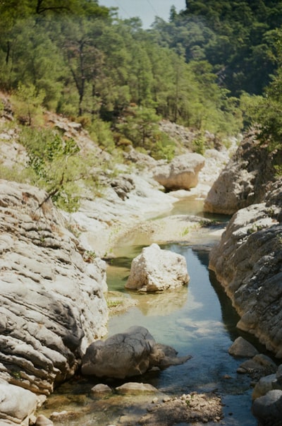 灰色岩石河流，绿色苔藓和灰色岩石